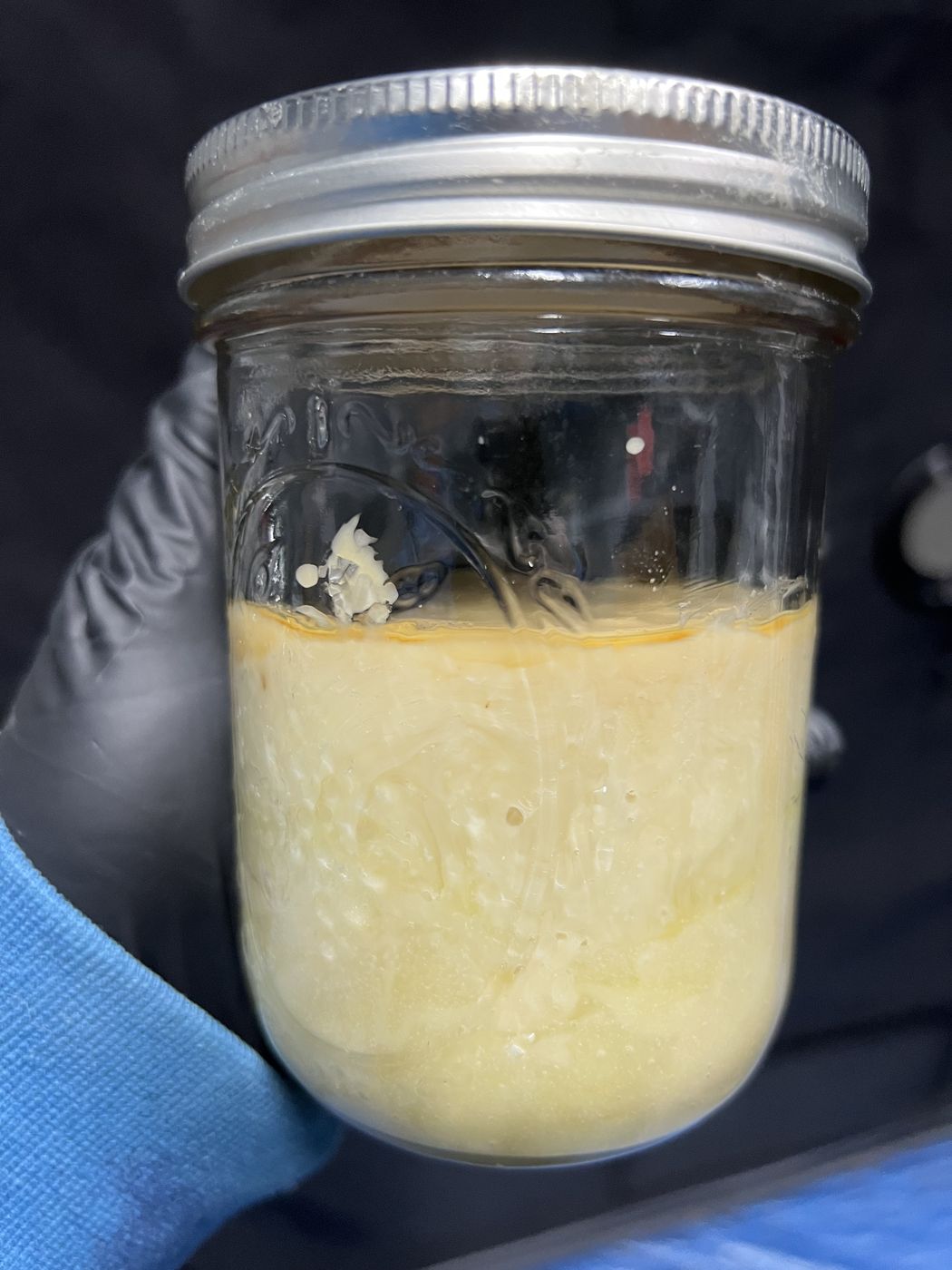 A jar of WURMZ Cosmopolis live hash rosin